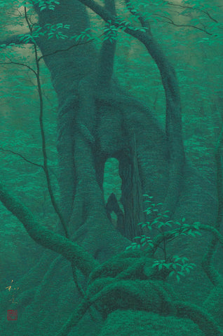 Yakushima 6-H, KAZUYUKI FUTAGAWA, 